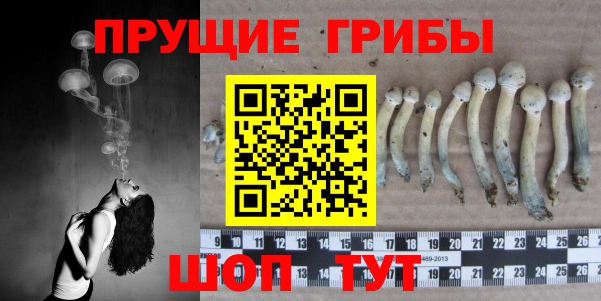 Псилоцибиновые грибы мухоморы Кирово-Чепецк